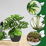 Kunstpflanze (20cm) in Töpfen, 3 Stück Mini Künstliche Pflanzen, Monstera Fake Pflanzen, Innen und Außen Kunstpflanzen Wie Echt Geeignet für Tischdeko, Zimmer, Wohnzimmer, Badezimmer Deko – Bild 4