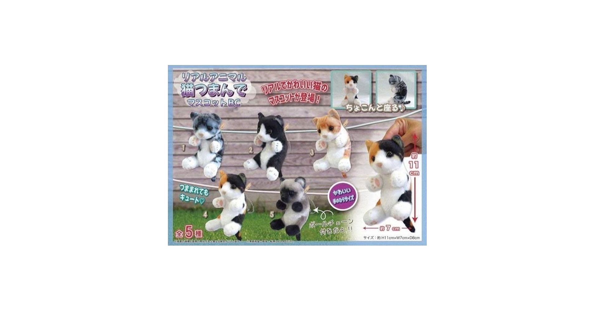Amazon.co.jp: REALANIMAL☆猫つまんでマスコットBC