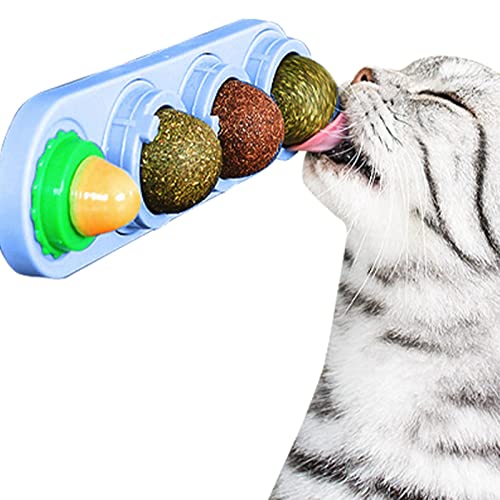 Catnip gato - Bolas comestíveis lanche gato seguro com catnip natural saudável - Bolas comestíveis n