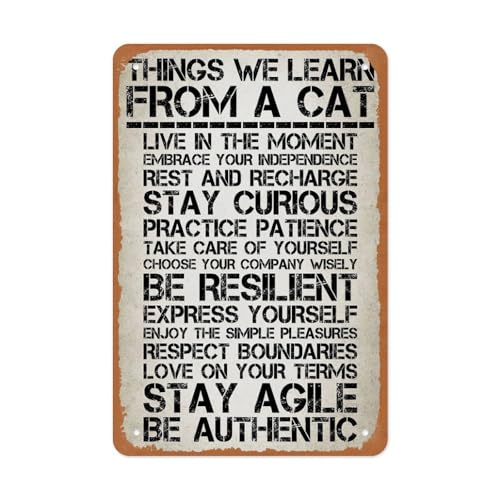 Life Lessons From Cats Metal Sign
