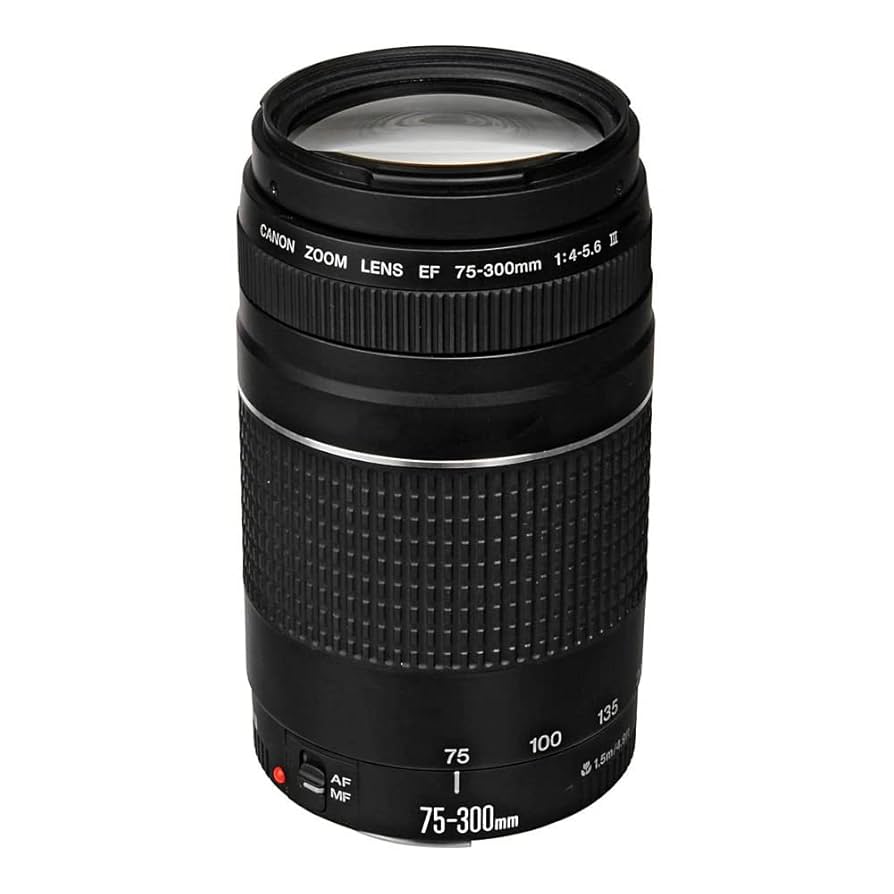 CANON キャノン EF 75-300mm 1:4-5.6 Ⅱ Lente EF 75-300mm f/4-5.6 III, Canon, Preto | Amazon.com.br