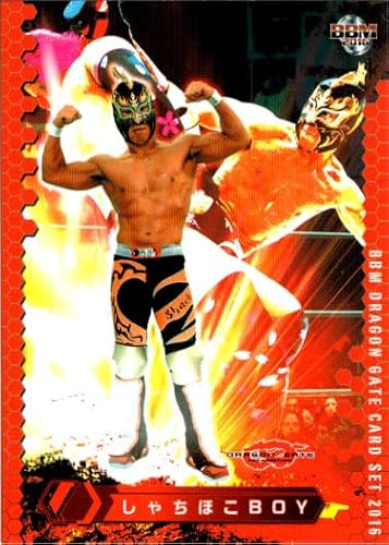 2016ＢＢＭ ドラゴンゲートカードセット レギュラーカード No.15 しゃちほこBOYのサムネイル