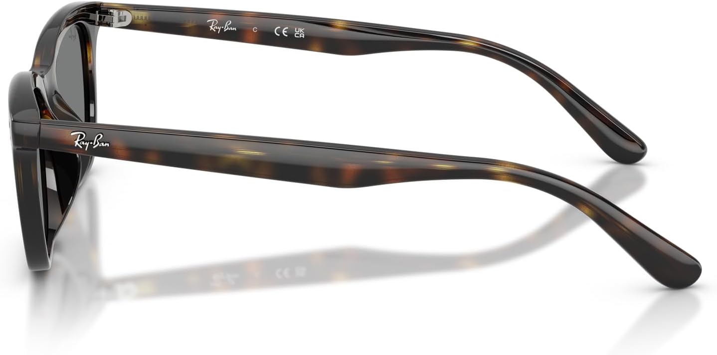 Ray-Ban Unisex Rb4474d Cat Eye Sunglasses