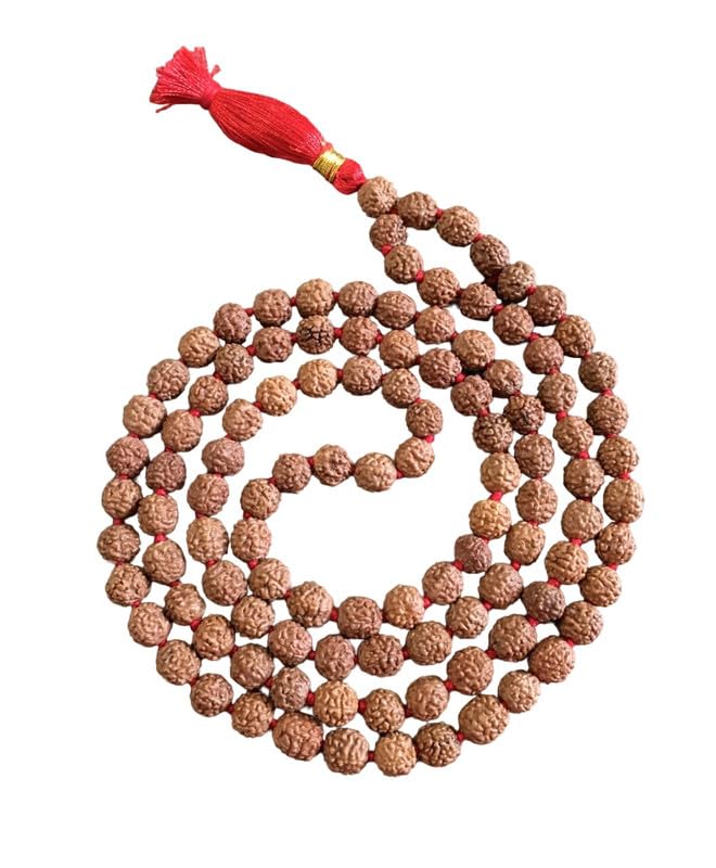 Japa Mala en graines sacrées de Rudraksha et gland de méditation