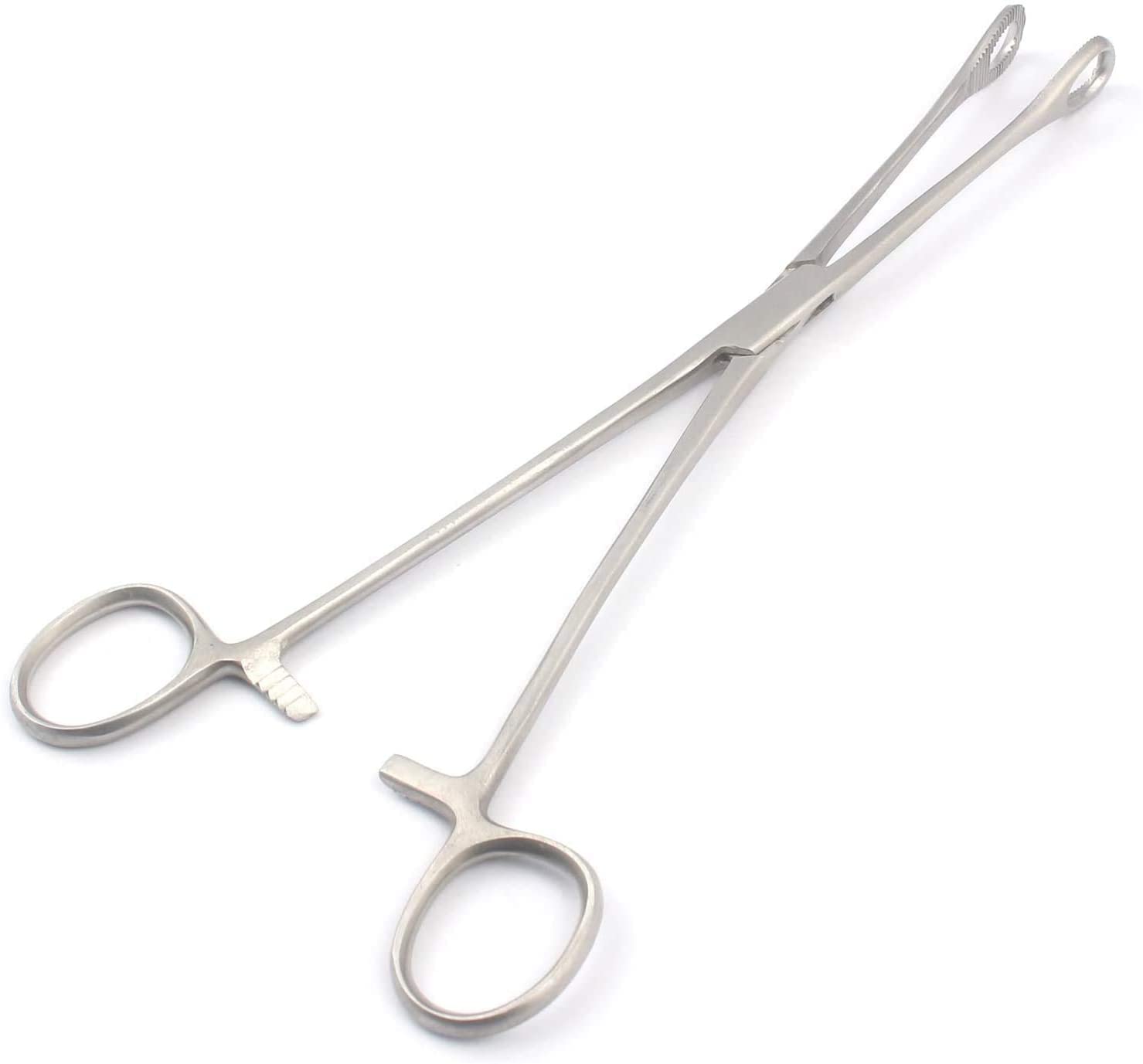 AAProTools 9-1/2" Locking Sponge Forceps - Stainless Steel - Four-Stage Locking Jaw
