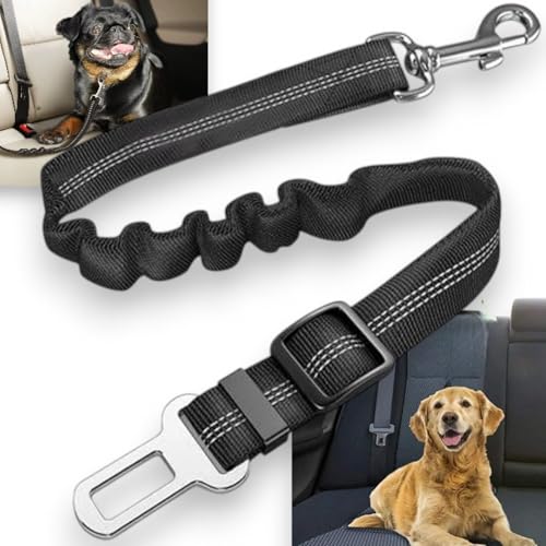 BLOCKBAT® Cinturón Perro Coche Universal Ajustable 1 Pack con Amortiguador de Tirones,Correa Seguridad Perro Gato con Mosquetón de Alta Resistencia, Cinturón Mascotas para Viajar (Negro)