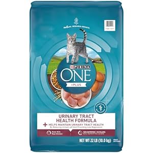 Purina ONE High Protein Dry Cat Food, +Plus Urinary Tract Health Formula – 22 lb. Bag