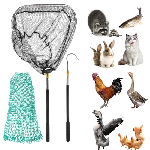 GZGXKJ 3 Pièces Attrape Poulet Extensible Filet de Volaille Amovible Epuisette Peche avec Crochet en Acier Inoxydable Filet de Capture pour Animaux Dindes Oies Canards Oiseaux Petits et Poissons