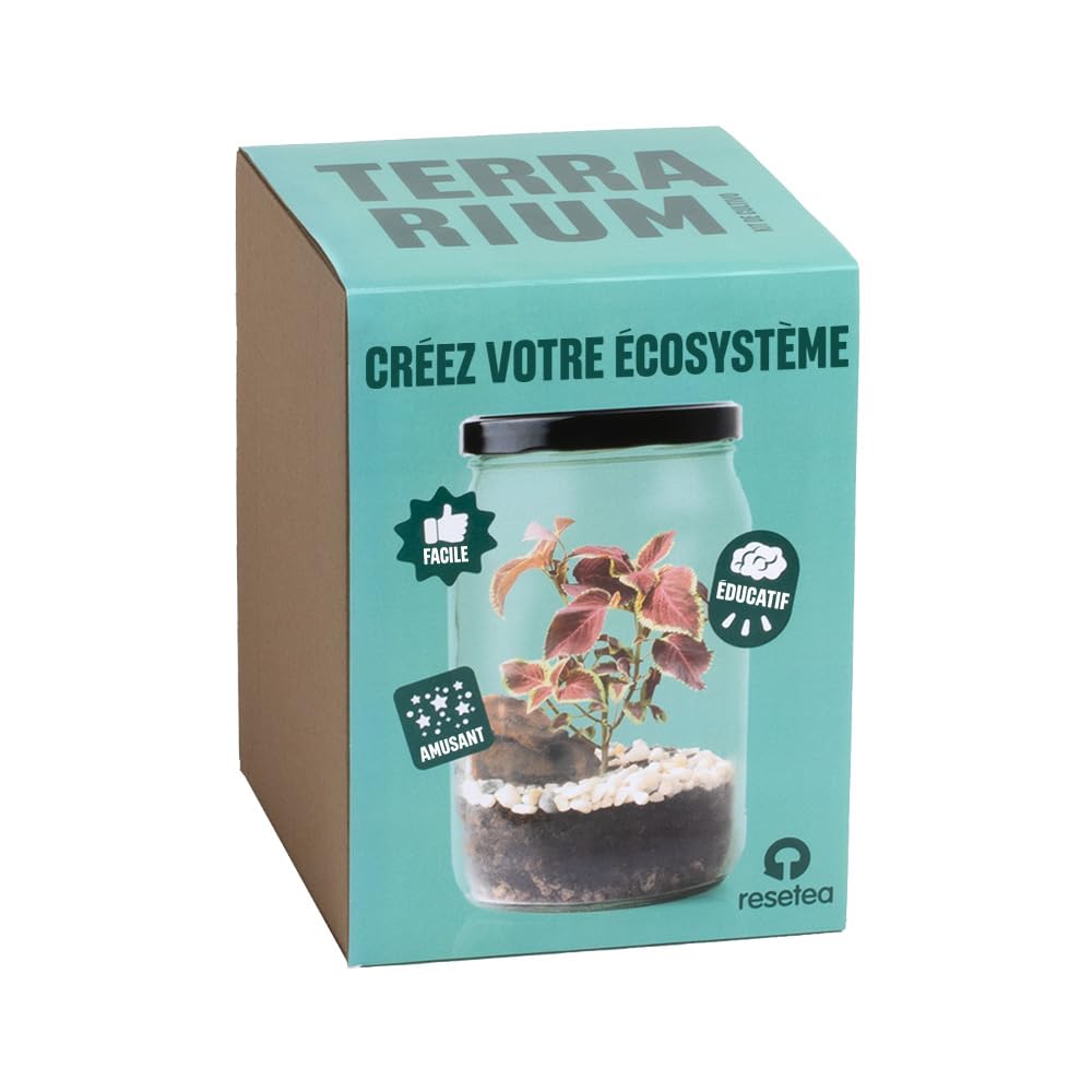 Kit Terrarium Resetea | Créez Votre Mini Écosystème à la Maison | Cadeau Original et Créatif pour Amoureux des Plantes