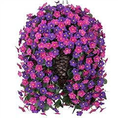 Dark Purple+fuchsia Daisy