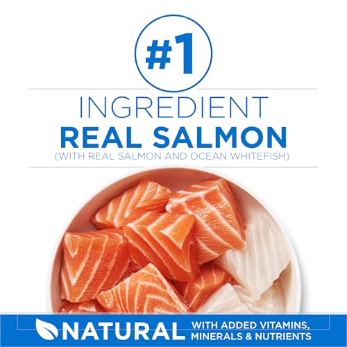 Image of Purina ONE Plus High Protein Cat Food Dry Salmon and Ocean Whitefish Cat Skin and Coat Health Formula - 7 lb. Bag