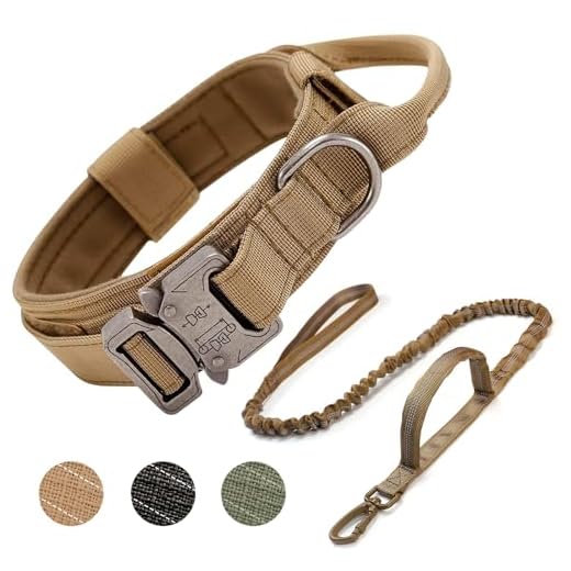 Ledeak Collier de Chien Tactique, Collier Réglable Militaire en Nylon avec Poignée de Commande, Laisse de Chien Bungee Tactique avec Boucle en Métal pour Chiens de Taille Moyenne Chasse