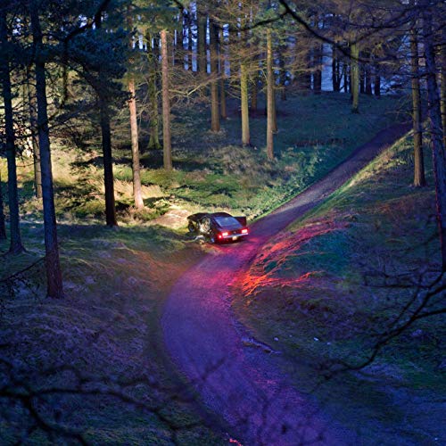 Undertow [Disco de Vinil]