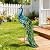 chisheen Outdoor Solar Peacock Decor Garden Statue Metal Yard Art Decoration Outdoor Sculptures for Backyard,Patio,Lawn,Wedding, for Women