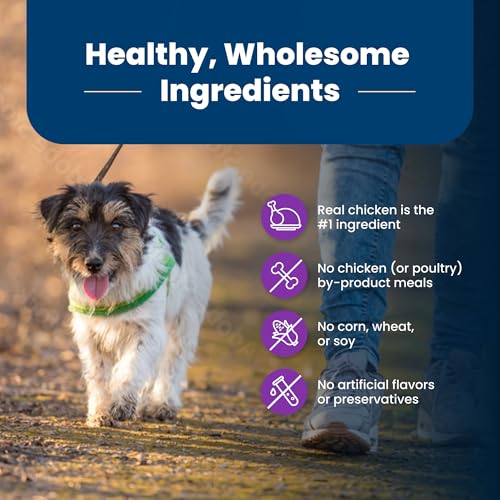 Blue Buffalo Life Protection Formula Chicken Toy Adult Dry Dog Food, 4 lb - image 6