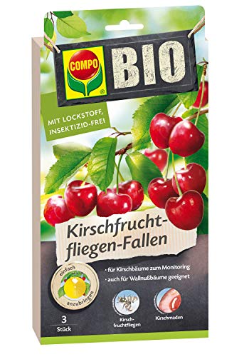 Compo Bio Kirschfruchtfliegen-Fallen, 3 Stück