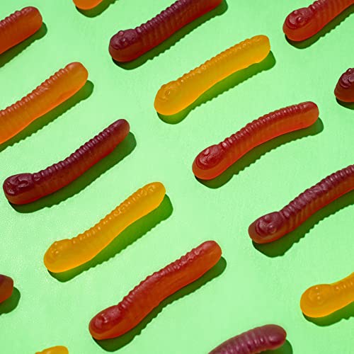 Caramelos Surf Sweets Gummy Worms 2.75 oz Pack de 12 miniatura 6