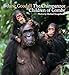 Chimpanzee Children of Gombe