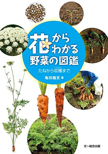 花からわかる野菜の図鑑—たねから収穫まで | 亀田 龍吉 |本 | 通販