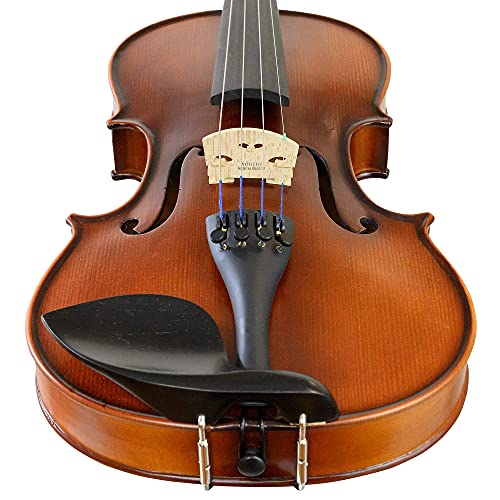 Professional Violin Beginner Full Size
