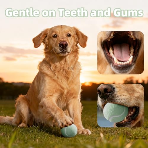 Image of Sunraymascota 6-Pack Tennis Balls for Dogs Fetch Toys,for Beginner Practice