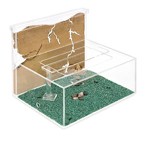 AntHouse - Formicaio Naturale di Sabbia - Kit L