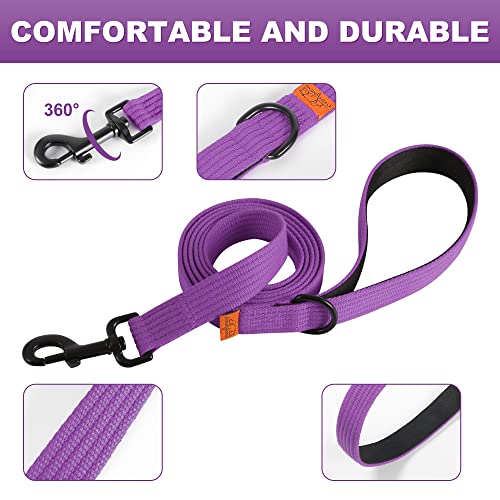 Lynxking 6Ft Dog Leash For Large Medium Small Dogs,Strong Durable Heavy Duty Nylon Leashes For Walking And Training, Heavy Duty 6 Foot Dog Leash With D Ring For Puppy (Purple, Small 5/8" X 6') #TOP3