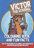 Victor The Echidna: Colouring Book and Fun Facts