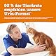 Zesty Paws Urin- & Nierenpaste für Katzen | gesunde Harnwege | gesunder Urin-pH | Immunstärkung | Cranberry-Pulver | D-Mannose | Beta-Glucane | Malzextrakt | Vitamine B1,B6 & C | Fischgeschmack | 75 g