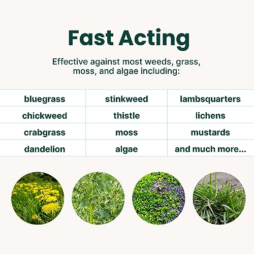 Sunday FB4164 Weed Warrior, 32Oz, 2 Pack - Grass & Weed Killer thumb #2