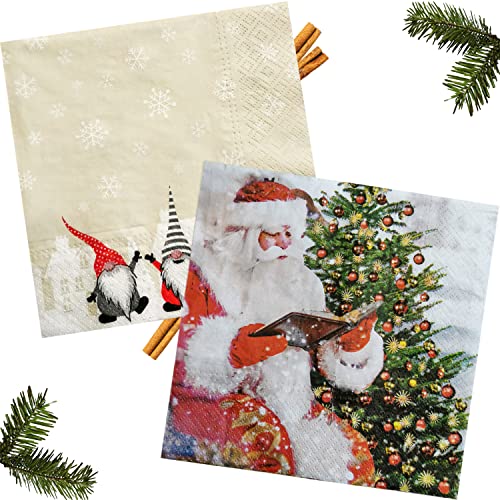 Selldorado® 40x Serviettes de Noël 33 x 33 cm - Serviettes sur Le thème de Noël - Serviettes de Noël - l'hiver (V 5) Cover
