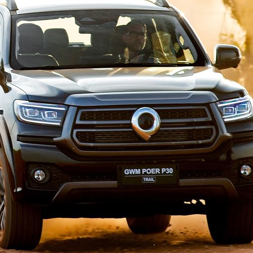Avalia&ccedil;&atilde;o: GWM Poer P30