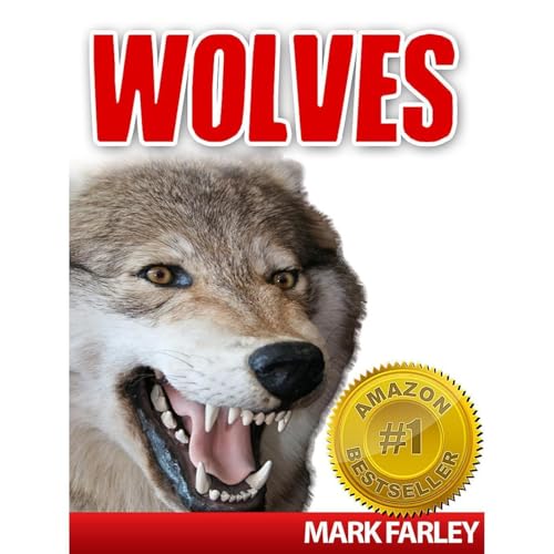 Start The Most Uplifting Full Audiobook Today!