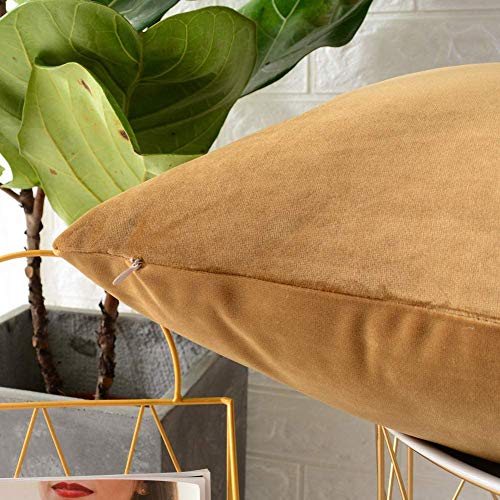 Image of Modern Homes (Pack of 2) Velvet Cushion Covers Plain Sofa Cushion Covers Pillow Covers for Living Room and Bedroom (16x16 inches, Brown)