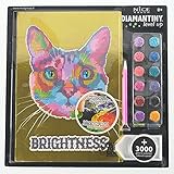 TÉCNICA: para decorar el mosaico Gato Luminoso se debe utilizar la técnica "crystal art, color with number", aplicando las gemas a los números. La hoja de instrucciones te guía a través de la aplicación.