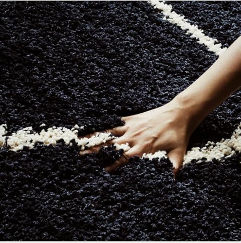 Image of AROMICK Modern Polyester Anti Slip Shaggy Fluffy Rug and Carpet for Living Room, Bedroom & Dining Room (5 x 8 Feet, Black Ivory)