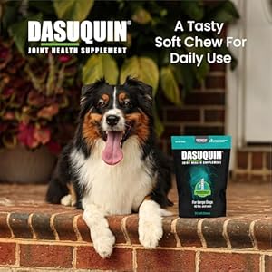 Nutramax Laboratories Dasuquin Joint Health Supplement for Large Dogs - With Glucosamine, Chondroitin, ASU, Boswellia Serrata Extract, and Green Tea Extract, 84 Soft Chews Nutramax Laboratories Dasuquin Joint Health Supplement for Large Dogs With Glucosamine Chondroitin ASU Boswellia Serrata Extract and Green Tea Extract 84 Soft Chews
