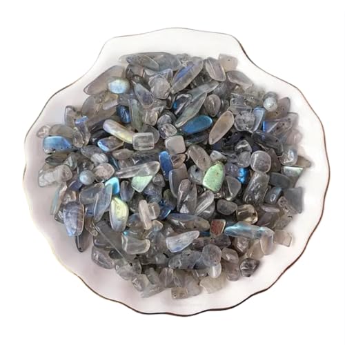 Erliway 100g Natural Grey Moonstone Crystal Chips 7-9mm Tumbled Stones