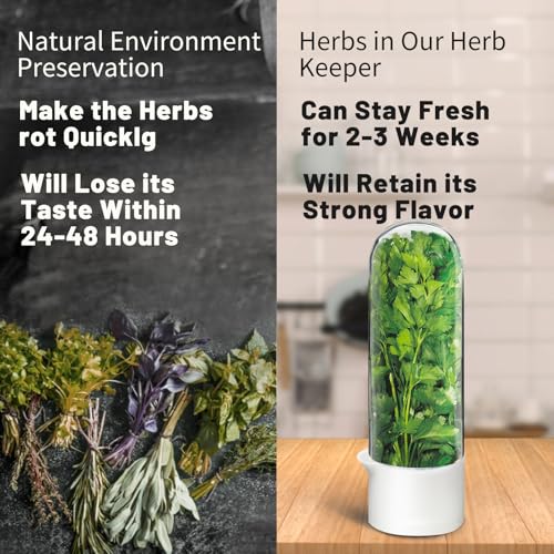 Image of Herb Keeper for Refrigerator, Herb Saver for Refrigerator, Cilantro Container, Vegetable Preservation Bottle for Cilantro, Mint, Parsley, Asparagus, Keeps Greens Fresh for 2-3 Weeks (3PCS)