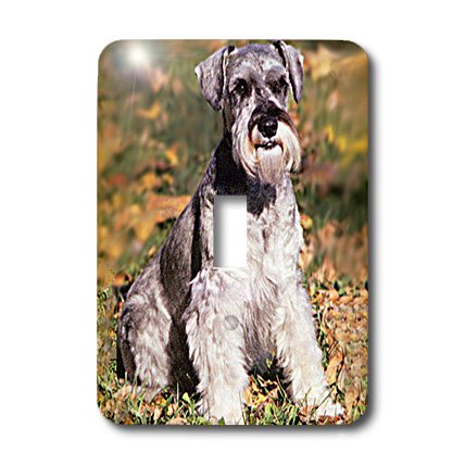 シュナウザー スイッチカバー Amazon.co.jp: lsp _ 261 _ 1 Dogs Schnauzer – Schnauzer – 照明