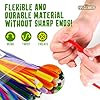 LOVA Pipe Cleaners Craft Bulk 200 Count – 12 Inch Chenille Stems in 20 Assorted Colors, Multicolor Fuzzy Craft Supplies for DIY Arts and Crafts, Flower Stems & Classroom Projects #1