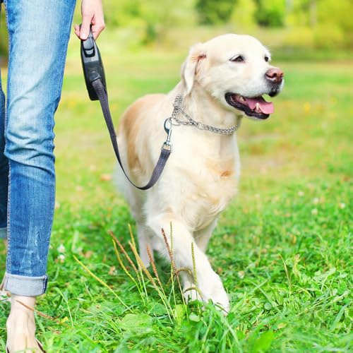 Duronge Kettenhalsband Hund, Edelstahl Hundehalsband, Verstellbare Hundekette mit Sicherer Schnalle, Hundehalskette Halsumfang 50 cm, Ø 2,5 mm, Hunde Kette zum Hundetraining