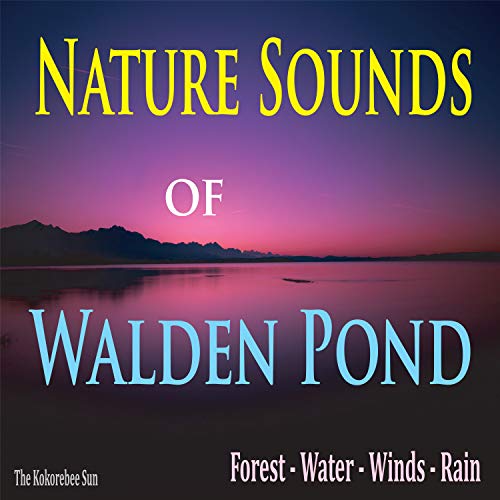 Relaxing Rains Near Baker's Farm (Walden Pond)
