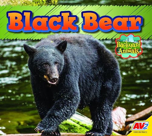 Black Bear (Backyard Animals)