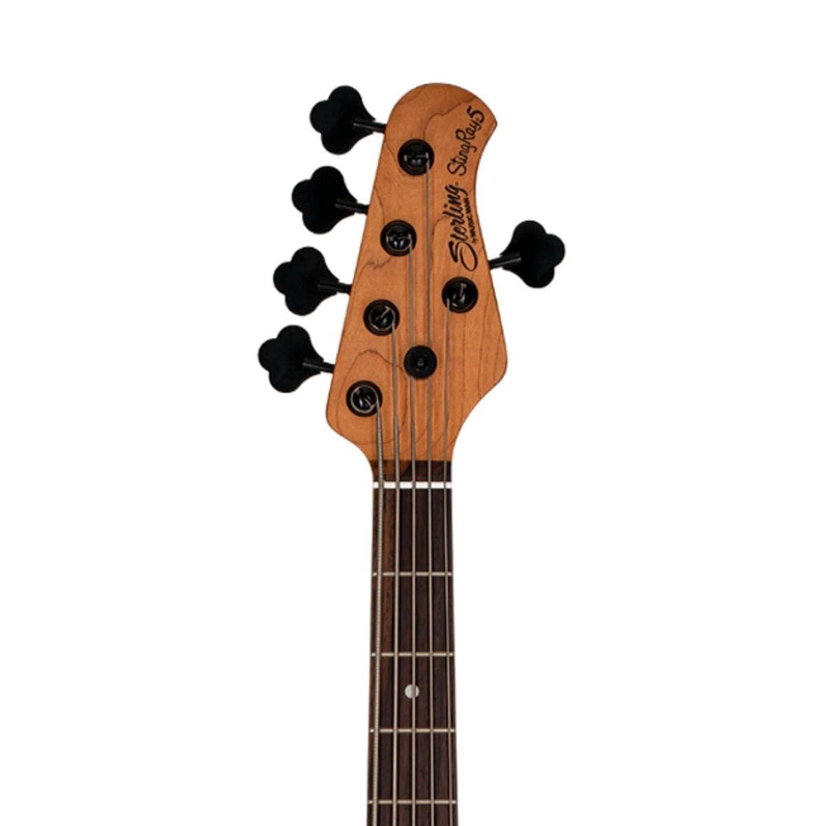 Sterling by Music Man Guitarra baixo de 5 cordas, direita, roxo