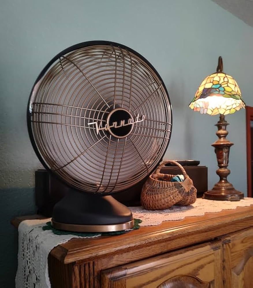 Amazon.com: Vornado Silver Swan Alchemy Oscillating Vintage
