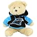 NFL Carolina Panthers Fuzzy Hoodie Bear, 8-Inch