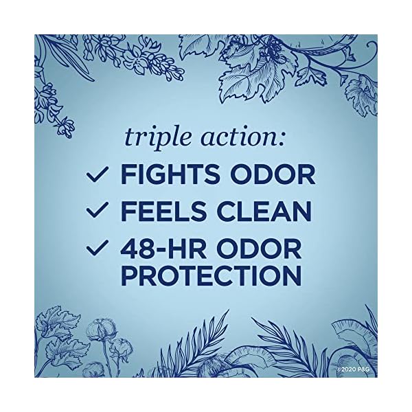 Secret Aluminum Free Deodorant for Women, 48hr Odor Protection, Free of Parabens Dyes Talc & Baking Soda, PH Balancing Minerals, Dry Solid, Coconut Scent, 2.4 oz (Pack Of 3) - Image 3