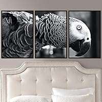 3 Piece Framed Canvas Wall Art Black and White Birds Canvas Prints Home Artwork Decoration for Living Room,Bedroom - 16