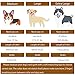 Extra Breites, Dickes, Weiches Hundehalsband aus Echtem Leder zum Gehen und Trainieren Hochleistungs-Hundehalsband für Kleine, Mittel Grosse und Große Rassehunde (Schwarz, M)